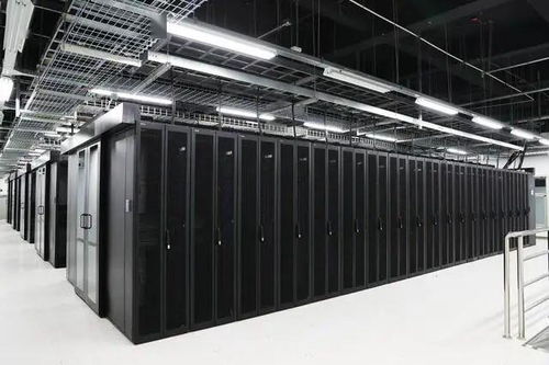 石家莊企業榮膺全國數字化轉型伙伴行動首批倡議方，數據處理服務成關鍵引擎